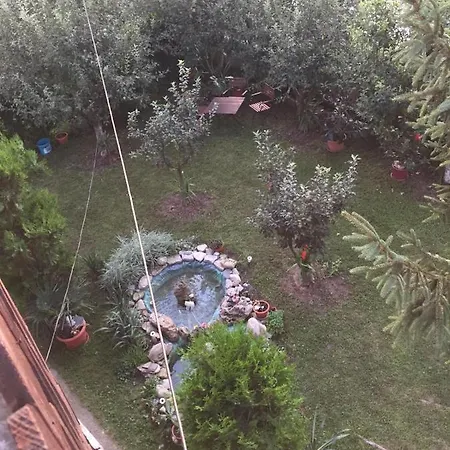 Gasthof Casa Pavel *